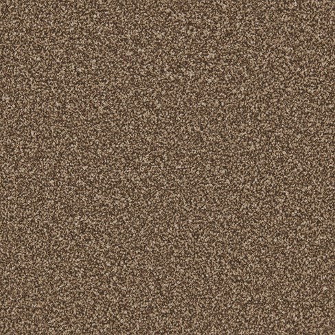 top down image of mahogany carpet
