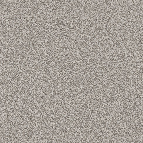 top down image of meteorite carpet