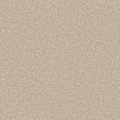 top down image of shortbread carpet