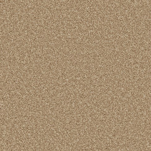 top down image of stepping stone carpet