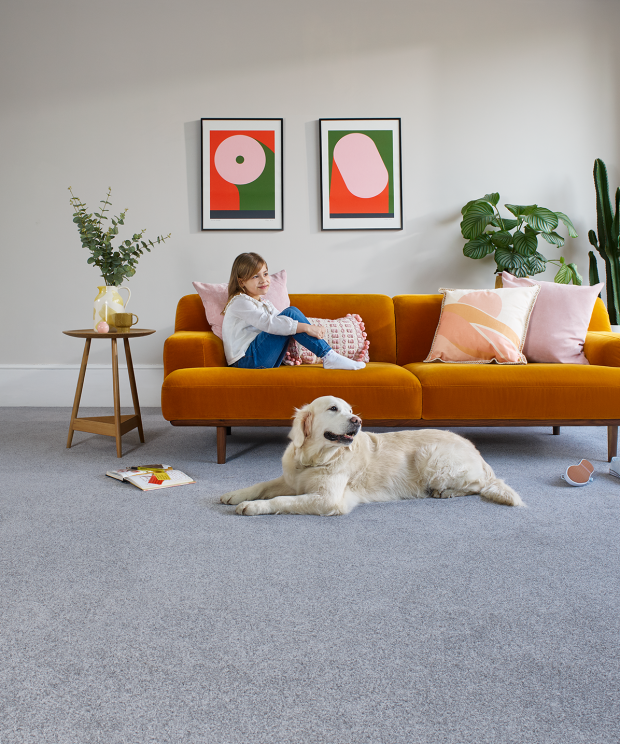 girl sitting on orange sofa on grey carpet with large dog