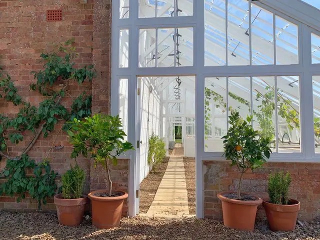 conservatory with plants and wooden style pathway