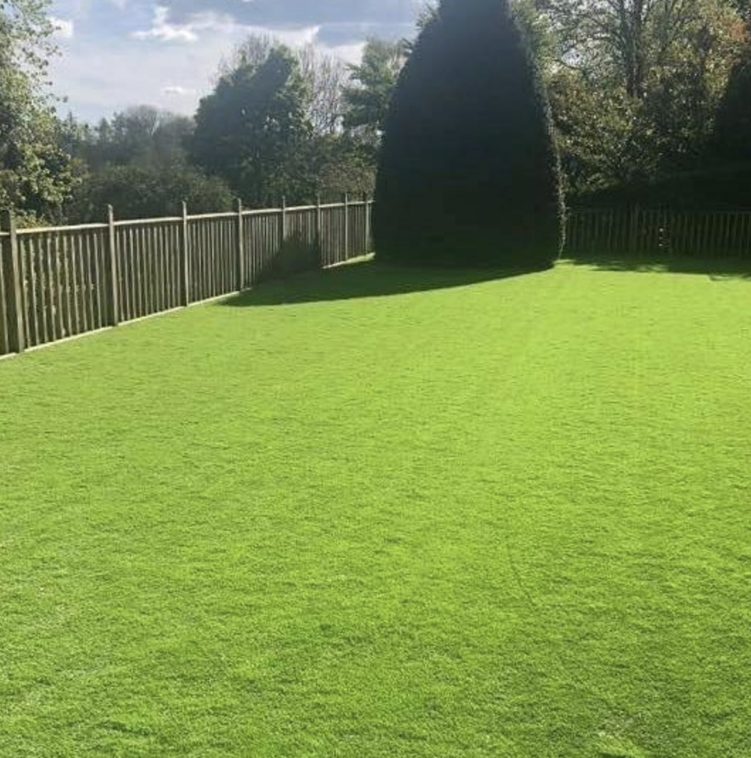 artificial grass in a glasgow garden